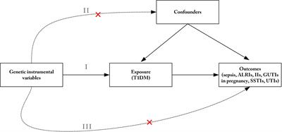 Causal relationship between type 1 diabetes mellitus and six high-frequency infectious diseases: A two-sample mendelian randomization study